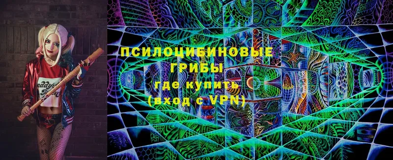 Псилоцибиновые грибы GOLDEN TEACHER  Уяр 